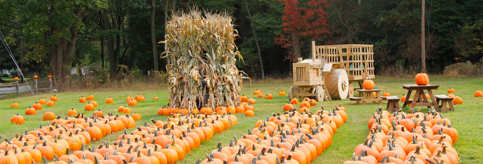 Ashley's Farm Market building with a giant jack-o'-lantern on the roof and mums out front
