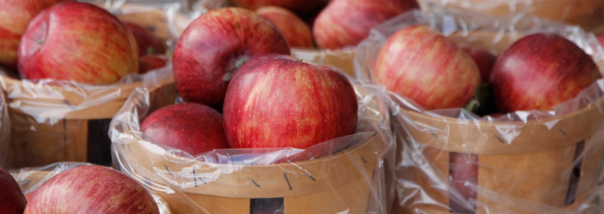 Baskets of red apples